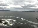 ./images/koeye/fitz-hugh/20170604/fitz-hugh20170604_121803.jpg