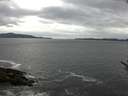 ./images/koeye/fitz-hugh/20170604/fitz-hugh20170604_135703.jpg