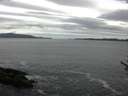 ./images/koeye/fitz-hugh/20170605/fitz-hugh20170605_075702.jpg