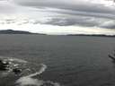 ./images/koeye/fitz-hugh/20170605/fitz-hugh20170605_115703.jpg