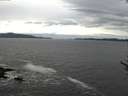 ./images/koeye/fitz-hugh/20170605/fitz-hugh20170605_122703.jpg