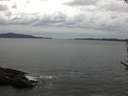 ./images/koeye/fitz-hugh/20170605/fitz-hugh20170605_155701.jpg
