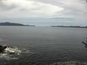 ./images/koeye/fitz-hugh/20170606/fitz-hugh20170606_115702.jpg
