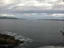 ./images/koeye/fitz-hugh/20170607/fitz-hugh20170607_075701.jpg