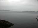 ./images/koeye/fitz-hugh/20170608/fitz-hugh20170608_075703.jpg