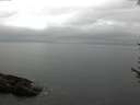 ./images/koeye/fitz-hugh/20170608/fitz-hugh20170608_095702.jpg