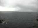 ./images/koeye/fitz-hugh/20170608/fitz-hugh20170608_121503.jpg