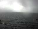 ./images/koeye/fitz-hugh/20170608/fitz-hugh20170608_121803.jpg