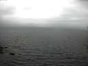 ./images/koeye/fitz-hugh/20170608/fitz-hugh20170608_122702.jpg