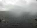 ./images/koeye/fitz-hugh/20170608/fitz-hugh20170608_135702.jpg