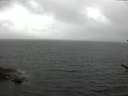 ./images/koeye/fitz-hugh/20170608/fitz-hugh20170608_155703.jpg