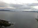 ./images/koeye/fitz-hugh/20170609/fitz-hugh20170609_055703.jpg