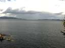 ./images/koeye/fitz-hugh/20170609/fitz-hugh20170609_122702.jpg