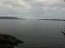./images/koeye/fitz-hugh/20170610/fitz-hugh20170610_095703.jpg