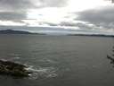 ./images/koeye/fitz-hugh/20170614/fitz-hugh20170614_135702.jpg