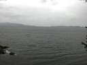 ./images/koeye/fitz-hugh/20170614/fitz-hugh20170614_155702.jpg