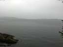 ./images/koeye/fitz-hugh/20170615/fitz-hugh20170615_095702.jpg