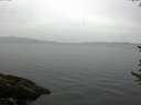 ./images/koeye/fitz-hugh/20170615/fitz-hugh20170615_115703.jpg