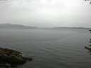 ./images/koeye/fitz-hugh/20170615/fitz-hugh20170615_121503.jpg