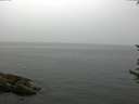 ./images/koeye/fitz-hugh/20170615/fitz-hugh20170615_135702.jpg