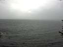 ./images/koeye/fitz-hugh/20170615/fitz-hugh20170615_175702.jpg