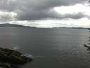 ./images/koeye/fitz-hugh/20170616/fitz-hugh20170616_115703.jpg