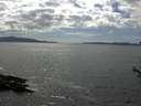 ./images/koeye/fitz-hugh/20170616/fitz-hugh20170616_155701.jpg