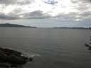 ./images/koeye/fitz-hugh/20170617/fitz-hugh20170617_135701.jpg