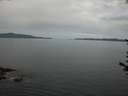 ./images/koeye/fitz-hugh/20170618/fitz-hugh20170618_075703.jpg