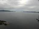 ./images/koeye/fitz-hugh/20170618/fitz-hugh20170618_095703.jpg