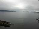 ./images/koeye/fitz-hugh/20170618/fitz-hugh20170618_115702.jpg