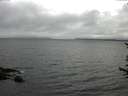 ./images/koeye/fitz-hugh/20170619/fitz-hugh20170619_075702.jpg