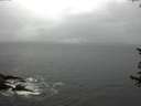 ./images/koeye/fitz-hugh/20170619/fitz-hugh20170619_115702.jpg