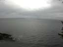 ./images/koeye/fitz-hugh/20170619/fitz-hugh20170619_121502.jpg