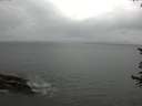 ./images/koeye/fitz-hugh/20170619/fitz-hugh20170619_121802.jpg