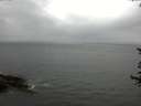 ./images/koeye/fitz-hugh/20170619/fitz-hugh20170619_122102.jpg