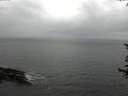 ./images/koeye/fitz-hugh/20170619/fitz-hugh20170619_122403.jpg