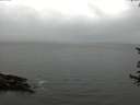 ./images/koeye/fitz-hugh/20170619/fitz-hugh20170619_122702.jpg