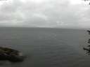 ./images/koeye/fitz-hugh/20170619/fitz-hugh20170619_135703.jpg