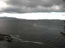 ./images/koeye/fitz-hugh/20170620/fitz-hugh20170620_121802.jpg