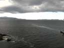 ./images/koeye/fitz-hugh/20170620/fitz-hugh20170620_122103.jpg