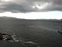 ./images/koeye/fitz-hugh/20170620/fitz-hugh20170620_122403.jpg