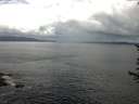 ./images/koeye/fitz-hugh/20170621/fitz-hugh20170621_122102.jpg