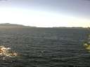 ./images/koeye/fitz-hugh/20170623/fitz-hugh20170623_135701.jpg