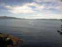 ./images/koeye/fitz-hugh/20170624/fitz-hugh20170624_095701.jpg
