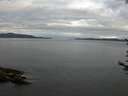 ./images/koeye/fitz-hugh/20170626/fitz-hugh20170626_055703.jpg