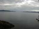 ./images/koeye/fitz-hugh/20170626/fitz-hugh20170626_075702.jpg
