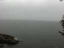 ./images/koeye/fitz-hugh/20170626/fitz-hugh20170626_121503.jpg