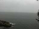 ./images/koeye/fitz-hugh/20170626/fitz-hugh20170626_121802.jpg