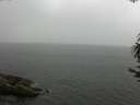 ./images/koeye/fitz-hugh/20170626/fitz-hugh20170626_122102.jpg